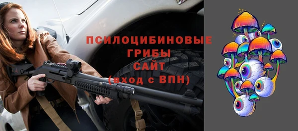 мдпв Пересвет
