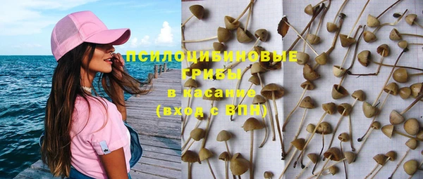 a pvp Алзамай