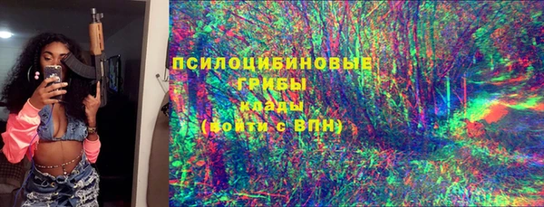 меф Переславль-Залесский