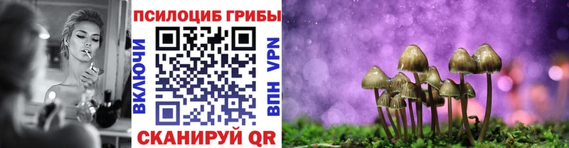 Галлюциногенные грибы MAGIC MUSHROOMS  Ардатов 